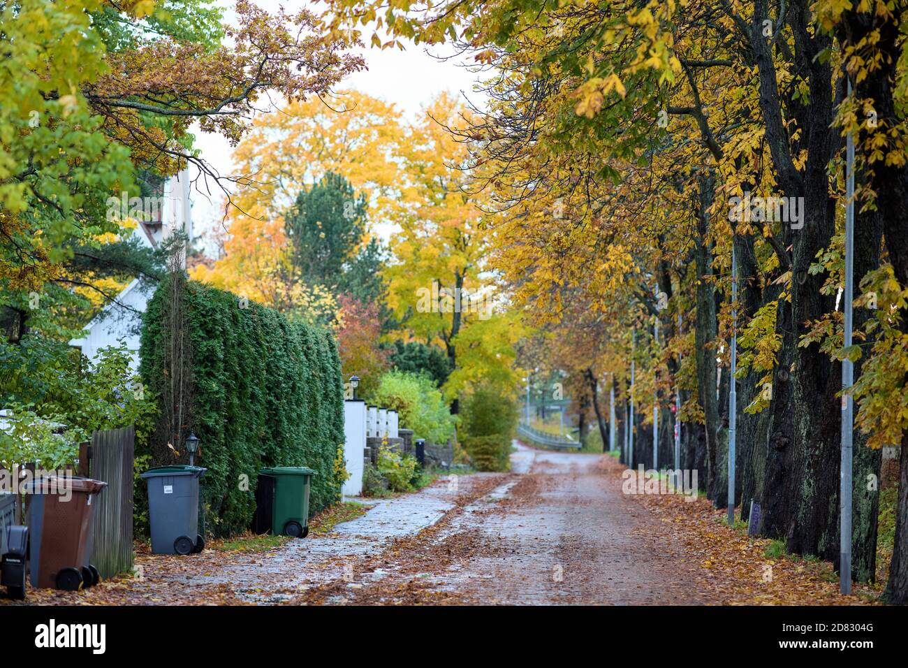Ängsvägen en Mörby, Estocolmo, Suecia, durante el otoño Foto de stock