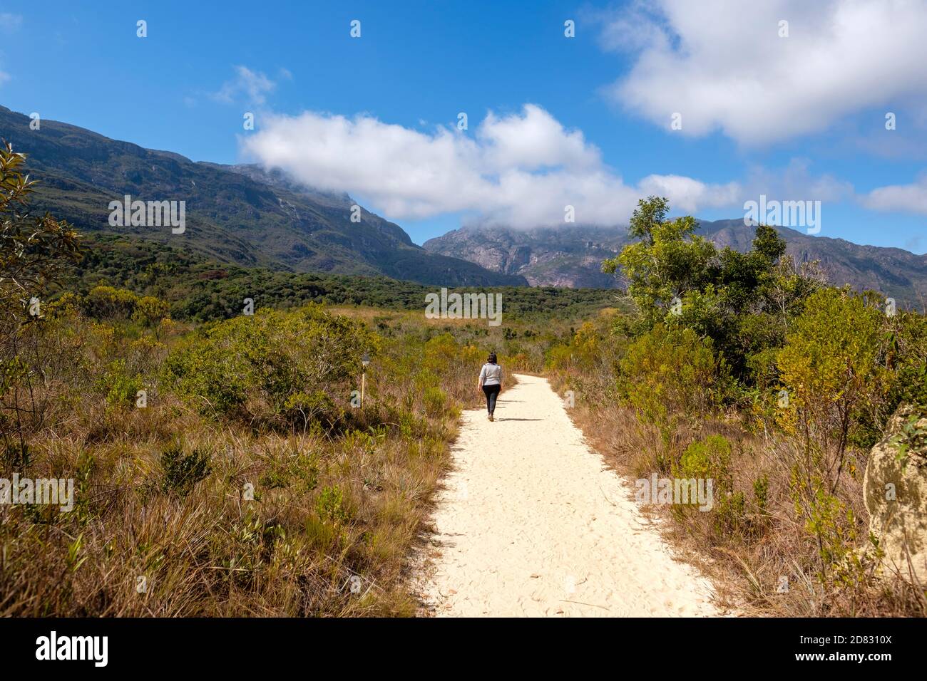 Sabana de cerrado brasileño paisaje y vegetación, mujer solitaria caminando un sendero en Santuario do Caraca, Minas Gerais, Brasil. Foto de stock