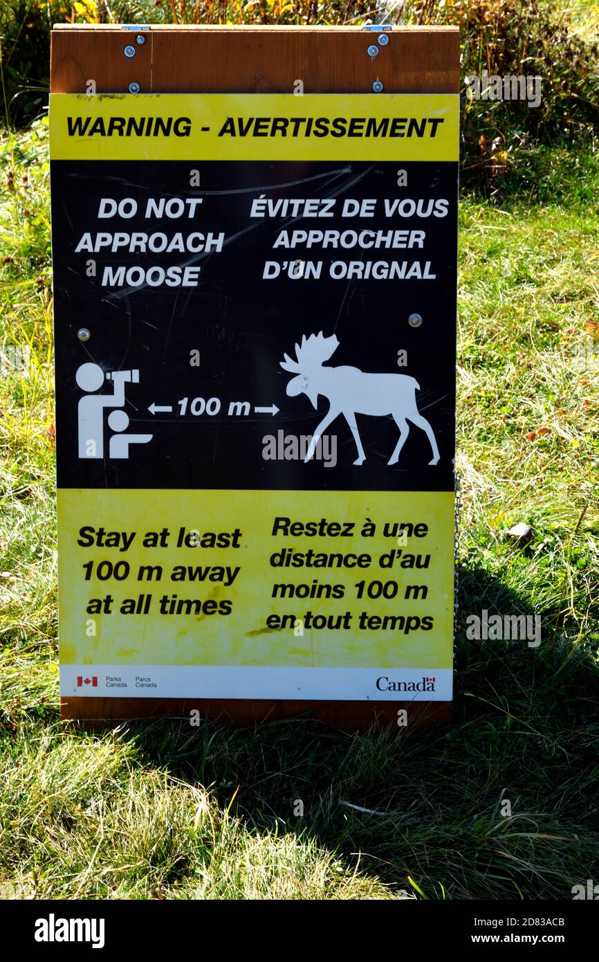 Una señal de advertencia colocada allí por Parks Canada para advertir a los excursionistas y viajeros de los peligros del alce salvaje en el Parque Nacional Jasper. Foto de stock
