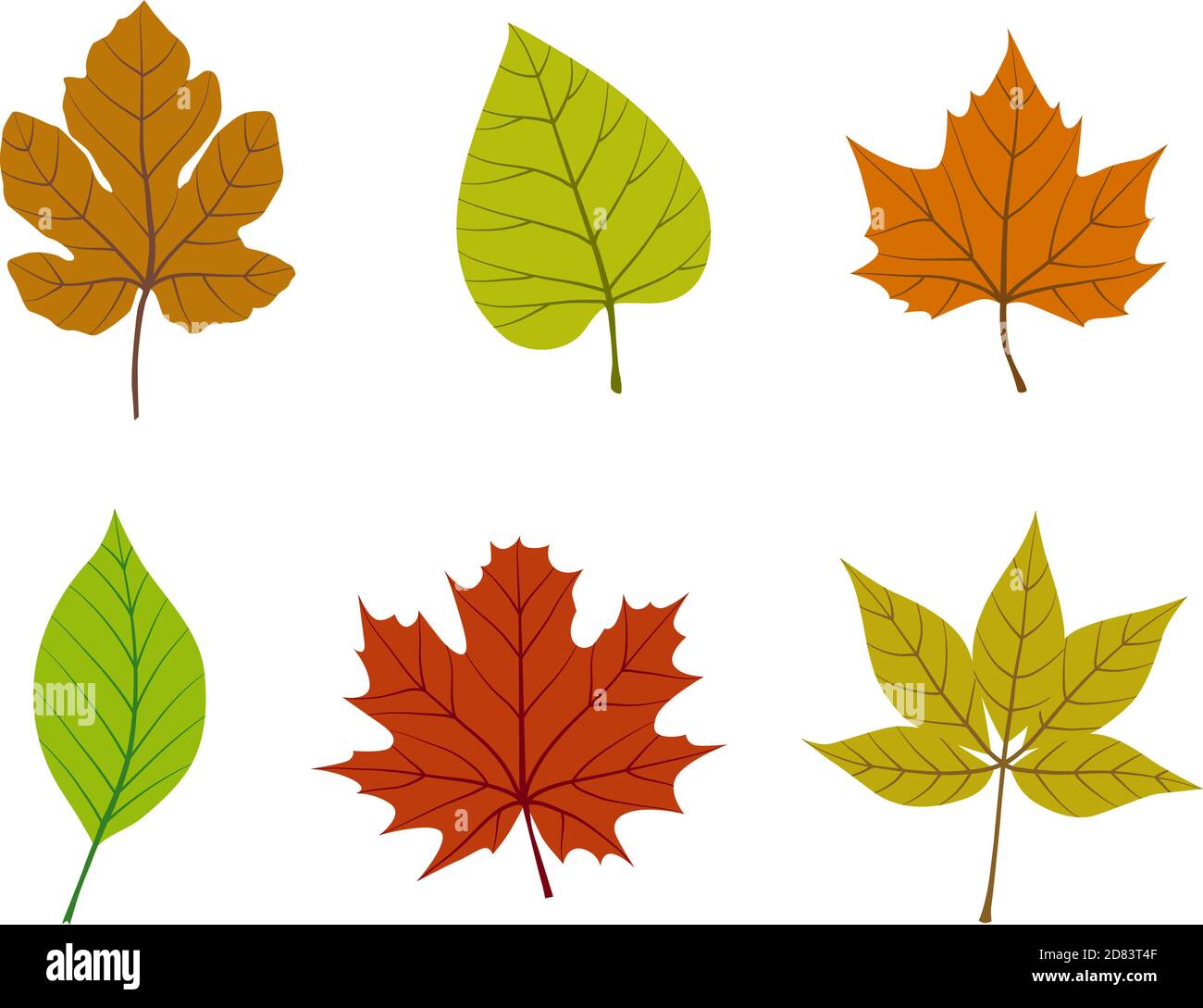 Coloridas hojas de otoño. Ideal para el diseño de carteles, tarjetas, etiquetas y pancartas. Ilustración vectorial. Ilustración del Vector