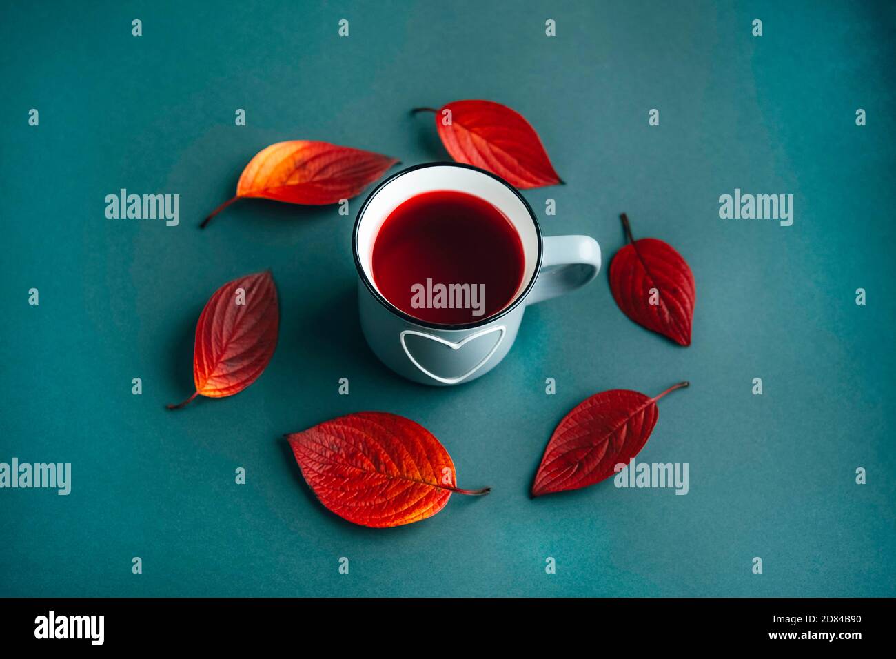 Hojas de otoño rojas y una taza de té de hierbas Hibiscus sobre fondo verde oscuro. Cambio de temporada. Foto de stock