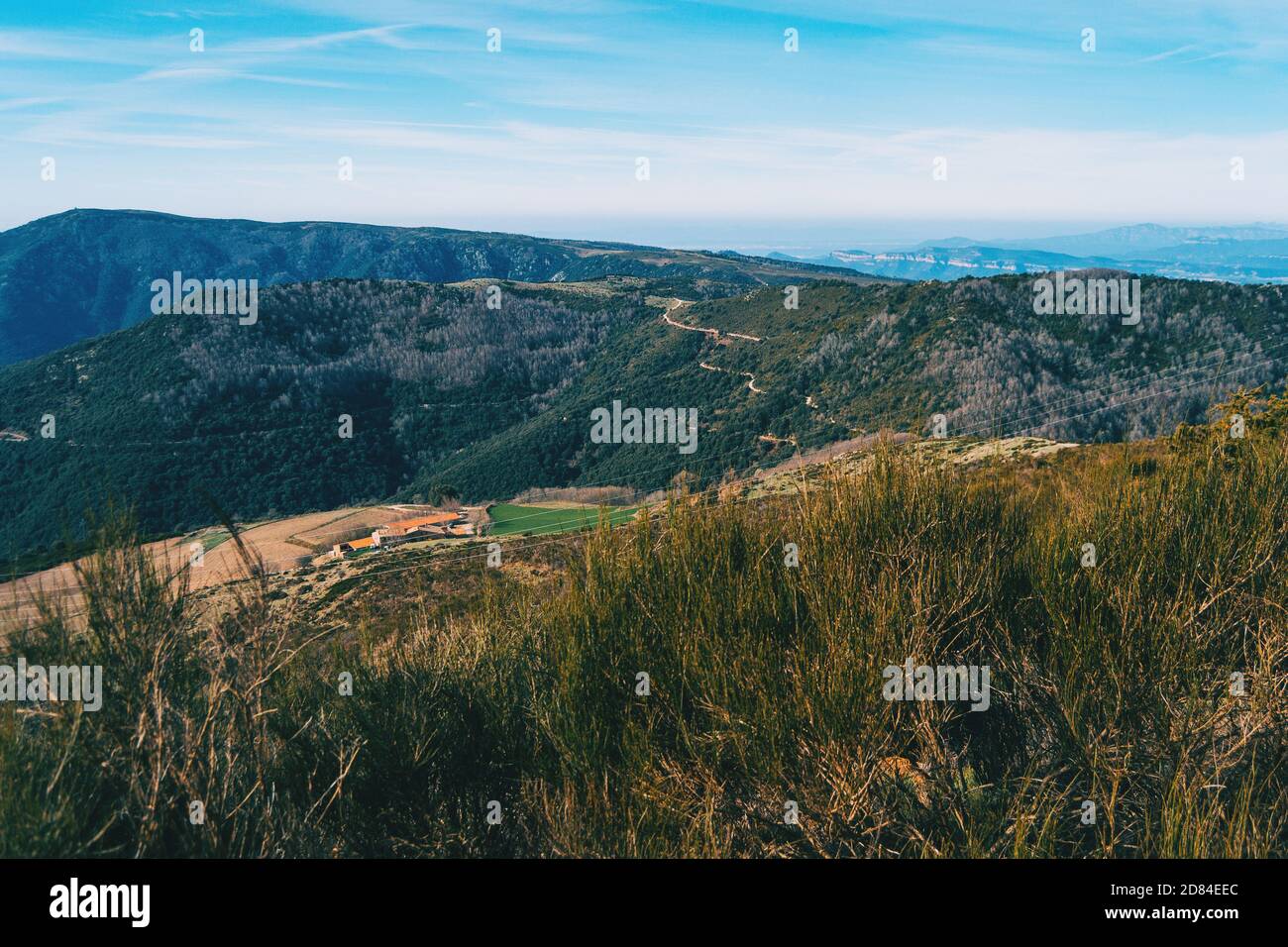 Paisaje con vistas de verdes montañas boscosas con unos pocos casas y un camino Foto de stock