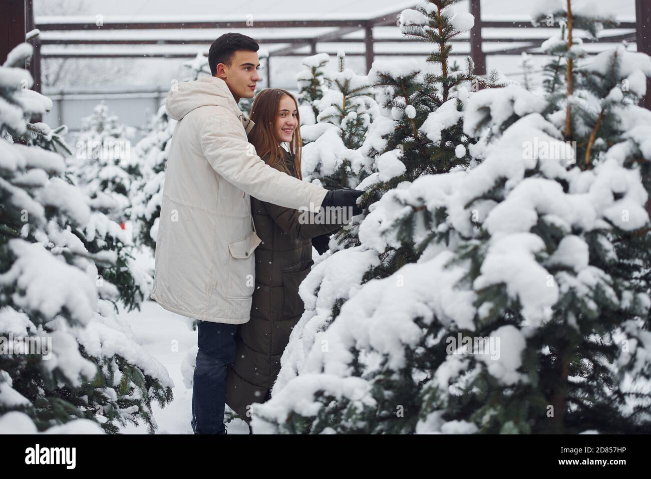 Una pareja joven y linda caminando al aire libre cerca de los abetos de Navidad frescos Foto de stock