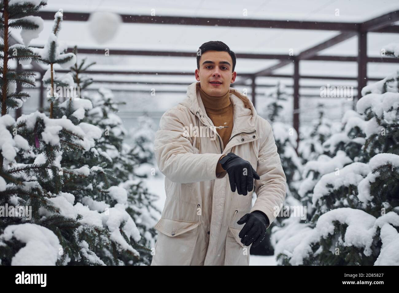 Alegre joven tirando bolas de nieve al aire libre cerca de los abetos Foto de stock