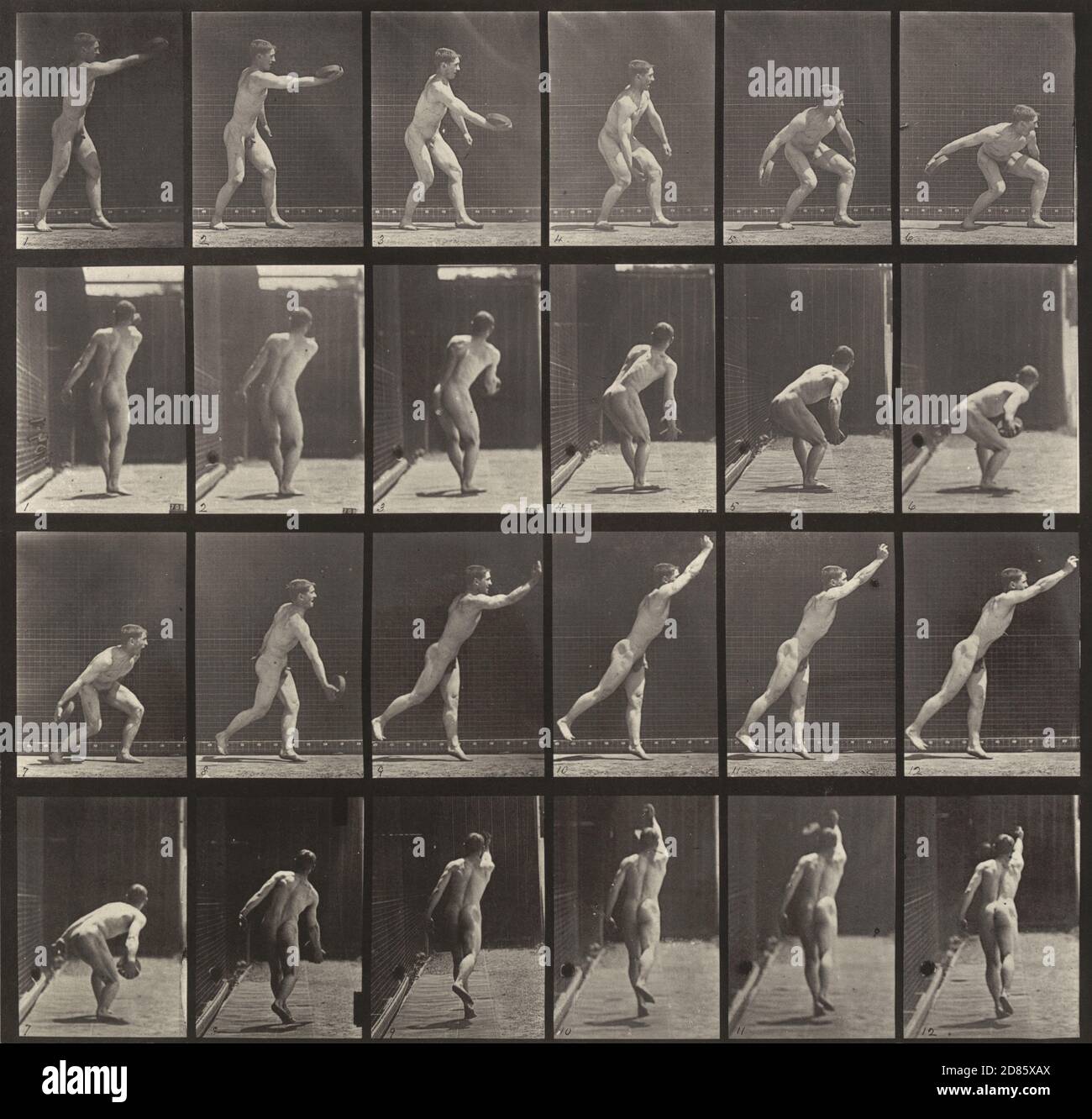 Foto vintage Eadweard J. Muybridge - Hombre lanzando un disco de hierro: Placa 307 de Locomoción animal (1887) 1884-86 Foto de stock