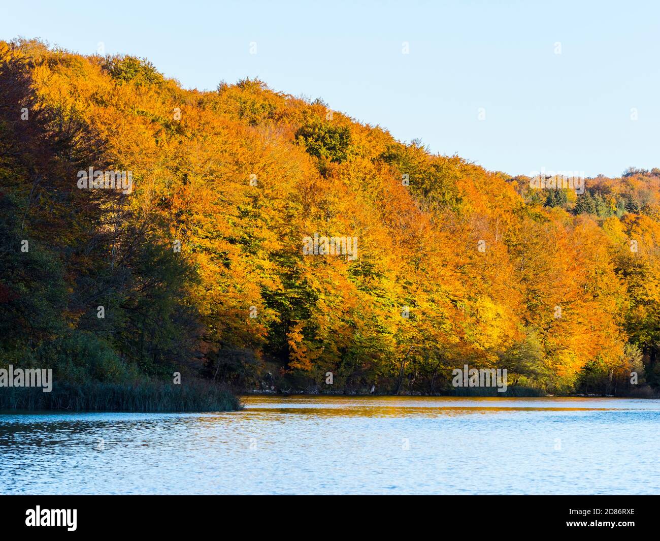 Paisaje otoñal en el parque nacional de los lagos de Plitvice situado en Croacia Espacio de copia de Europa Foto de stock