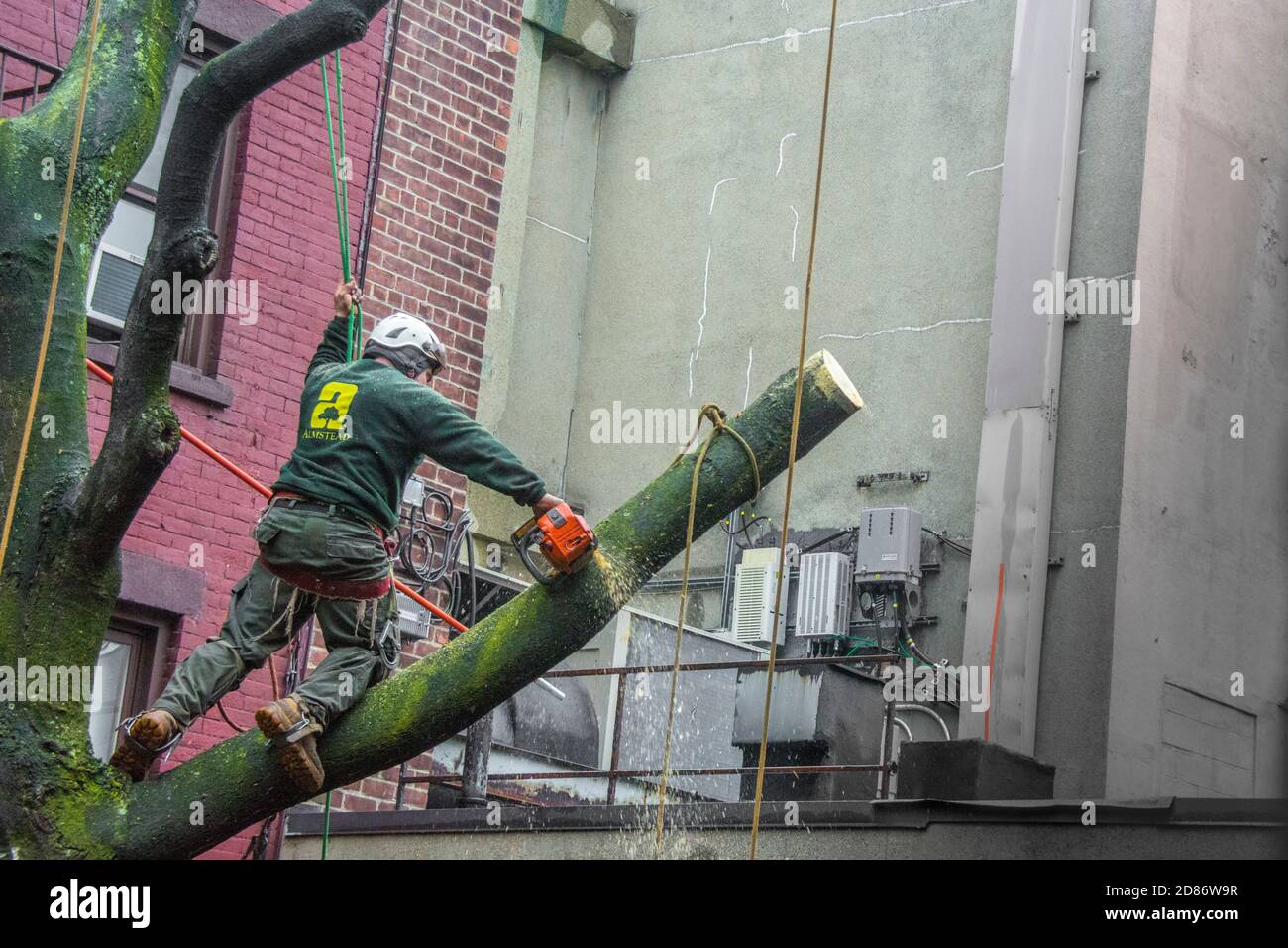 Podadora de árboles trabajando en la remoción de árboles en el jardín del patio de un edificio de Greenwich Village en la ciudad de Nueva York, NY, EE.UU Foto de stock