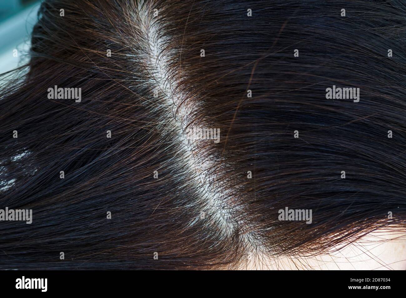 Cabeza de mujer con pelo gris, vista de primer plano de las raíces recangradas. Foto de stock