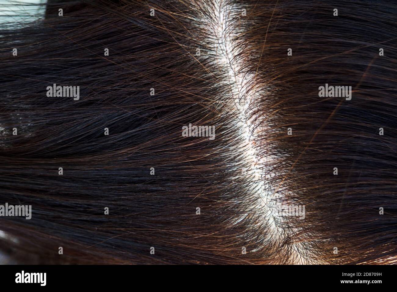 Cabeza de mujer con pelo gris, vista de primer plano de las raíces recangradas. Foto de stock