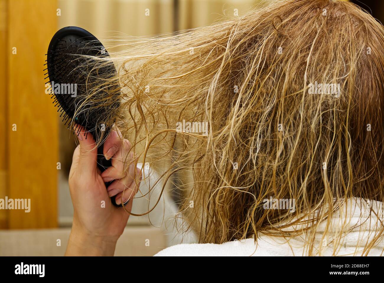 rubia peinando el cabello mojado y enredado. Mujer joven peinando su  cabello enredado después de ducharse, de cerca Fotografía de stock - Alamy