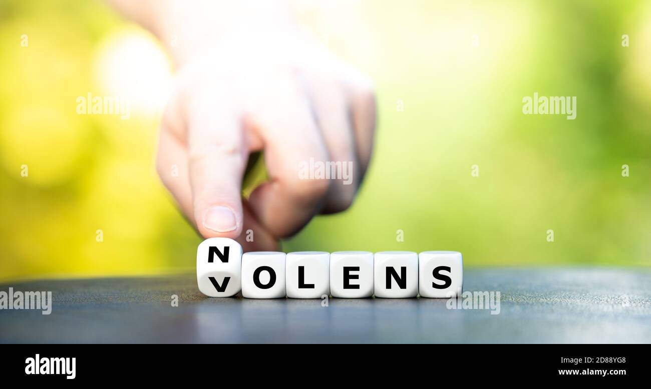 Los dados forman la expresión latina 'nolens volens' (dispuestos o no dispuestos). Foto de stock