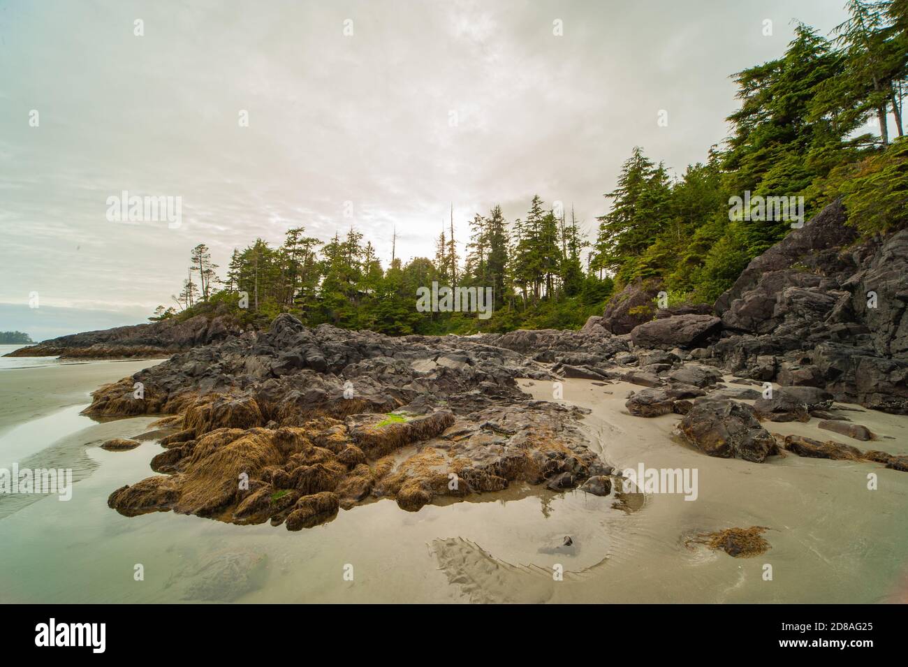 Vista pintoresca de la costa oeste de la isla de Vancouver al atardecer y marea baja con cielo nublado.rocas de la costa sobresalen del agua. Foto de stock