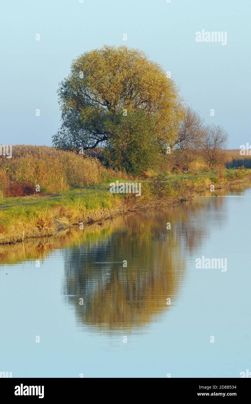 Estanques de peces Hortobágy, Hortobágy, Condado de Hajdú-Bihar, Hungría, Magyarországo, Europa, Parque Nacional de Hortobágy Foto de stock