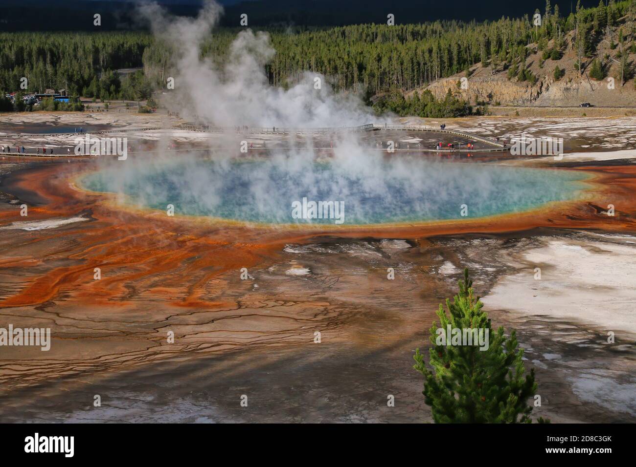 Vista aérea del Grand Prismatic Spring en Midway Geyser Basin, Yellowstone National Park, Wyoming, Estados Unidos. Es el manantial más grande de United Stat Foto de stock