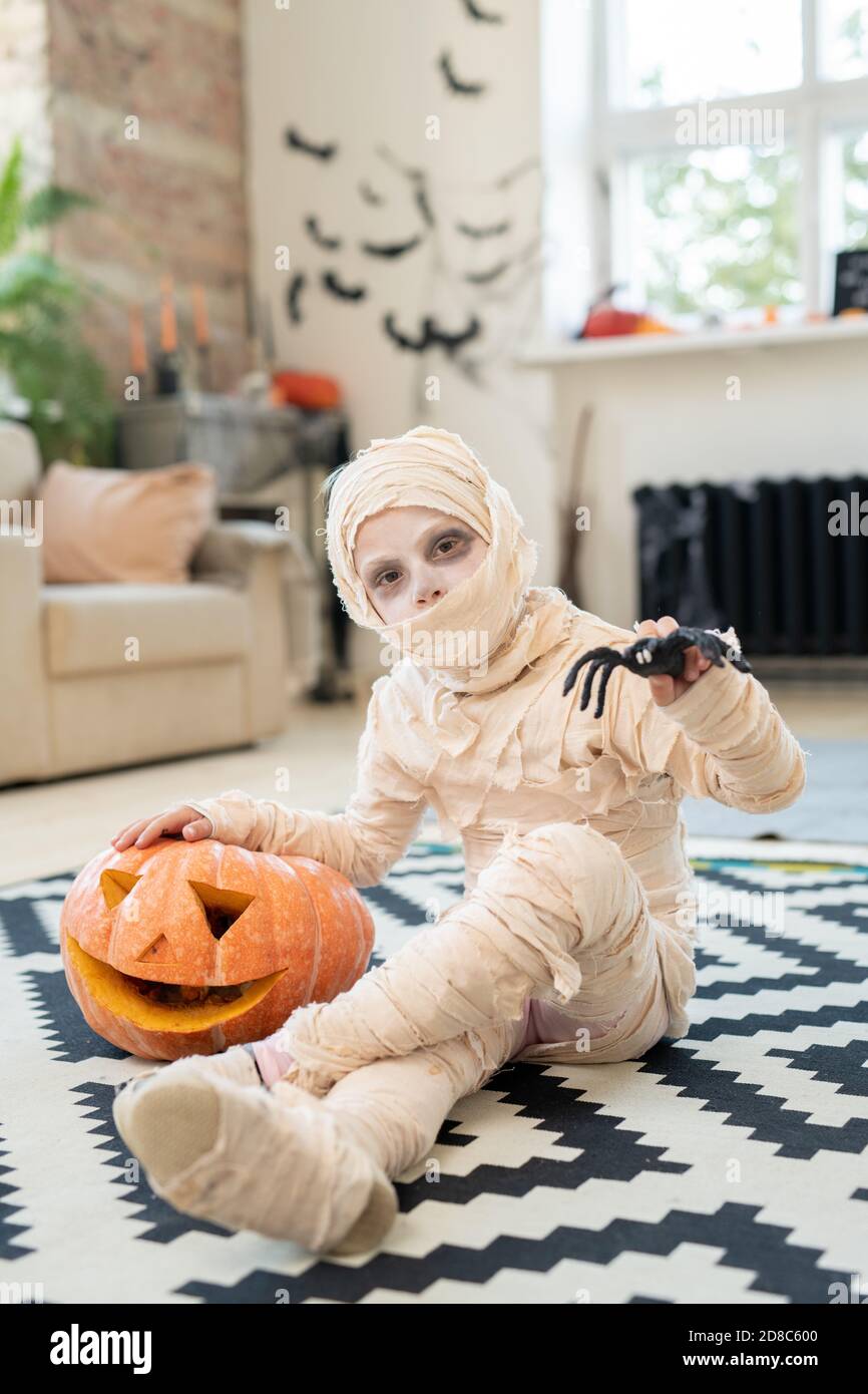 Retrato de niño misterioso vestido de momia disfraz sentado alfombra y  apoyándose en jack-o-linterna mientras sostiene el juguete araña Fotografía  de stock - Alamy