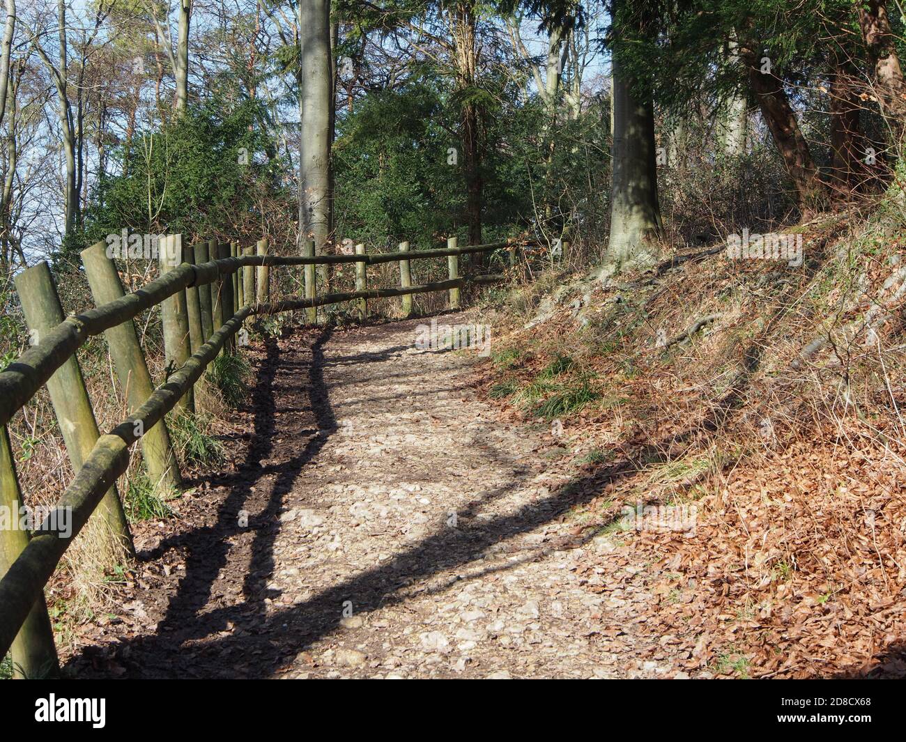 Un camino forestal en un parque rural en otoño Foto de stock