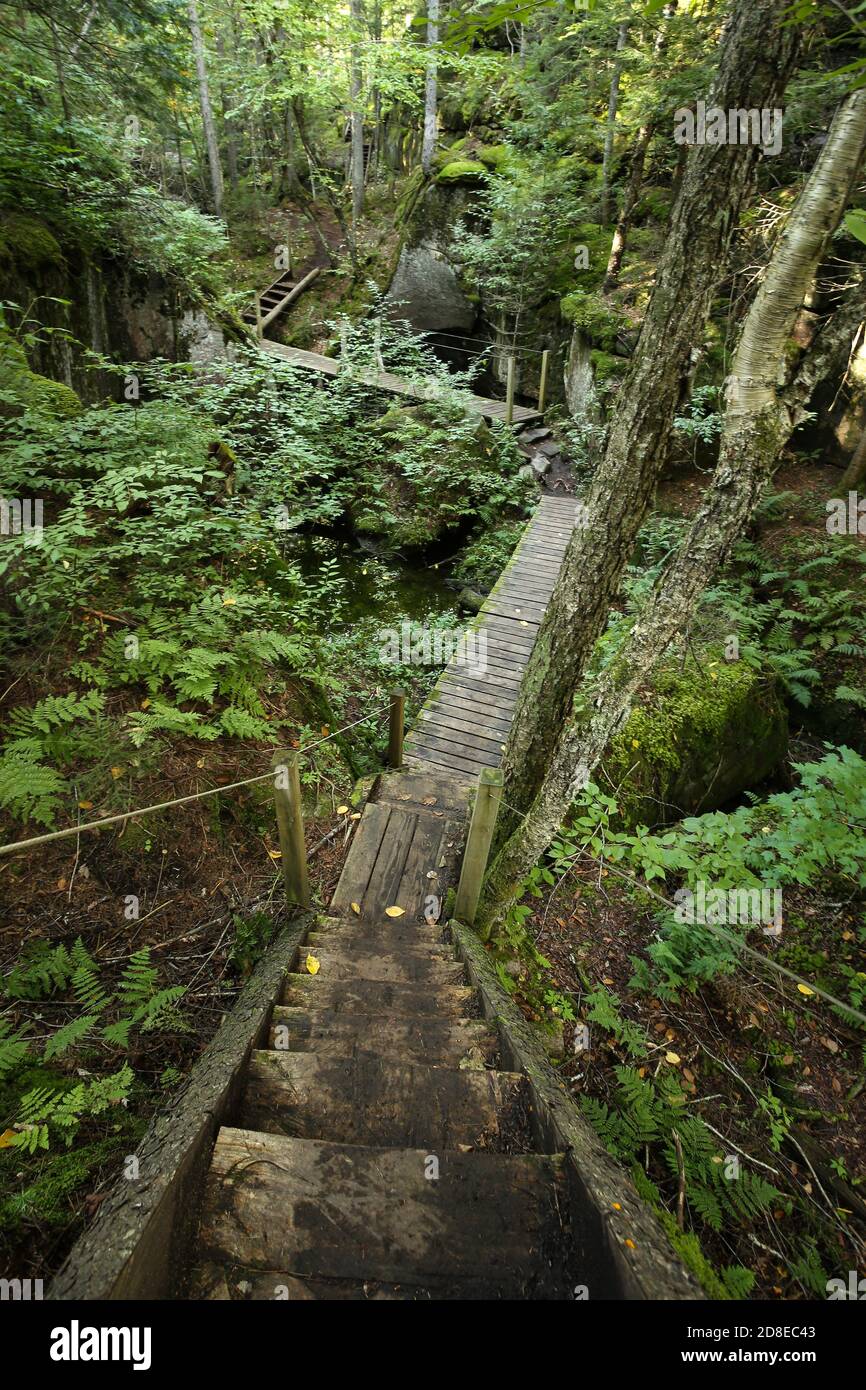 Rutas de senderismo en madera canadiense. Sentiers de randonnée la Marmitte dans les bois du Parc naturel régional de Portneuf. Foto de stock