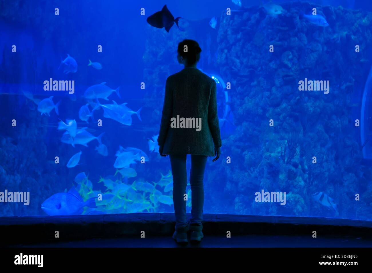 Turismo De Poker Definicion