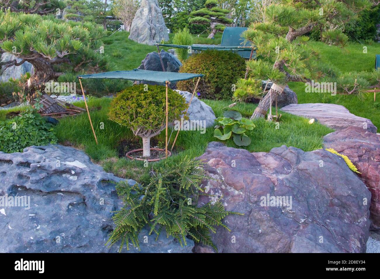 Malla para sombra fotografías e imágenes de alta resolución Alamy