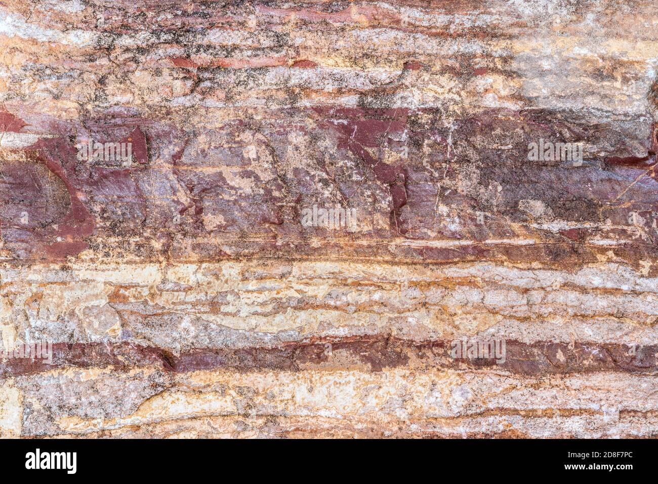Roca metamórfica Precámbrica, región del Lago Superior, W. Península alta Michigan, EE.UU., de 4.5 a 5 mil millones de años, por Dominique Braud/Dembinsky Foto A Foto de stock