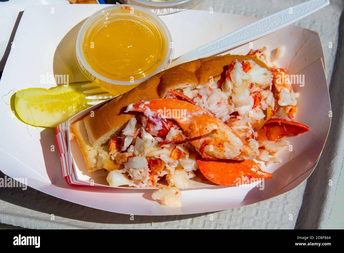 Langosta, Quoddy Bay Lobster Restaurant, Eastport, Maine, Estados Unidos Foto de stock