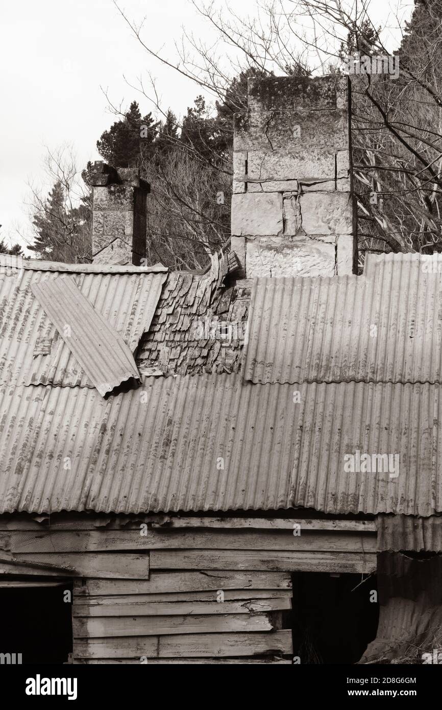 El techo y la chimenea de una antigua granja abandonada, con el hierro corrugado descascarando para revelar culebrilla. Tratamiento de sepia retro Foto de stock