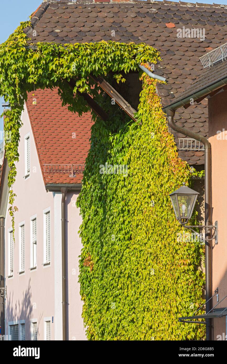 Beilngries, Poststrasse, altes Lagerhaus, Weinfaub Foto de stock