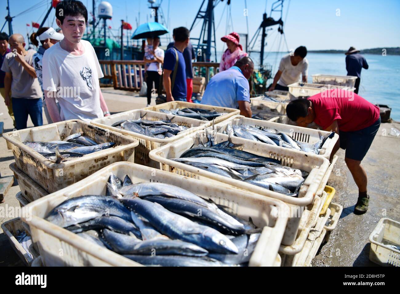 Los ciudadanos acuden al mercado de pescado situado en el puerto, donde los  pescadores venden mariscos tan pronto como regresan del mar, en el primer  fin de semana después del Fotografía de