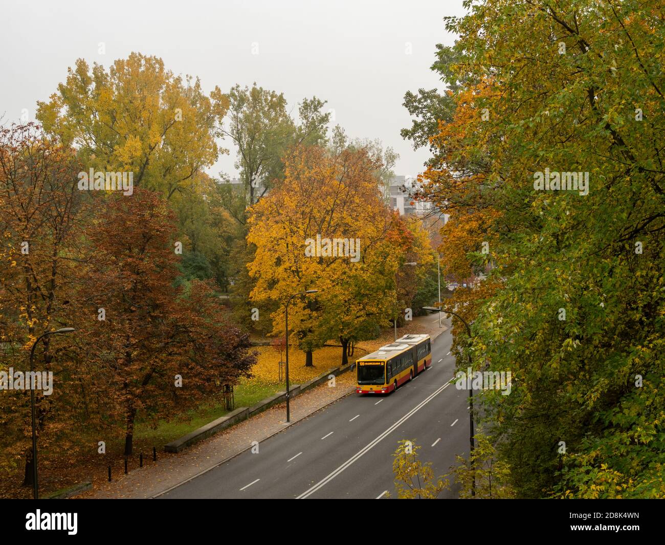 Varsovia/Polonia - 25/10/2020 - calle casi vacía, sólo el autobús público i que conduce por la carretera. Hora de otoño. Foto de stock