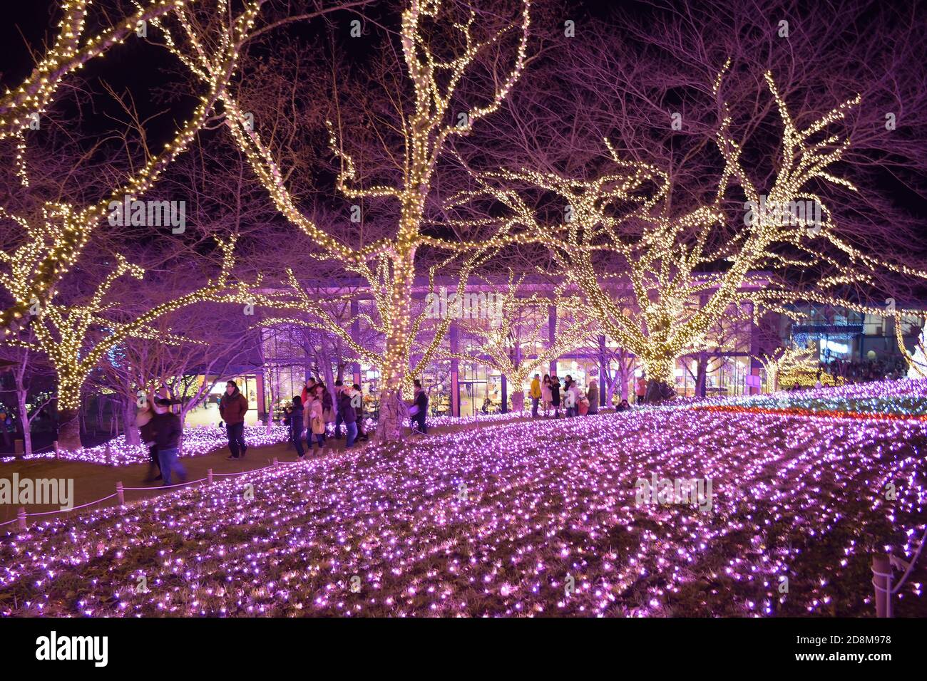 Gente disfrutando de las iluminaciones de Navidad e Invierno en Tokio,  Japón. Las calles de la ciudad de Tokio están iluminadas durante las  vacaciones de año Nuevo Fotografía de stock - Alamy