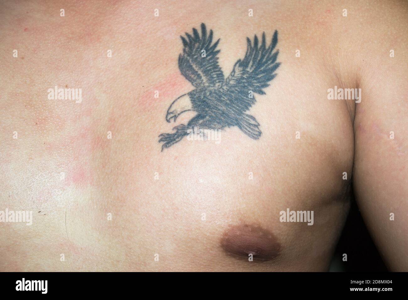 un tatuaje de águila en la parte superior izquierda del pecho de los  humanos Fotografía de stock - Alamy