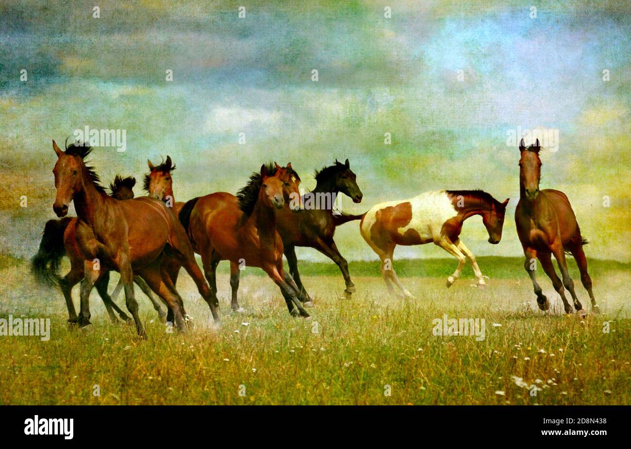 Imágenes atmosféricas de caballos corriendo en el desierto. Foto de stock