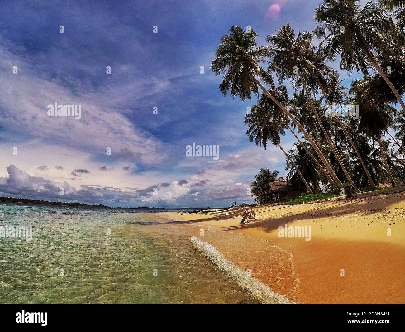 Playa de arena rubia con palmeras Foto de stock