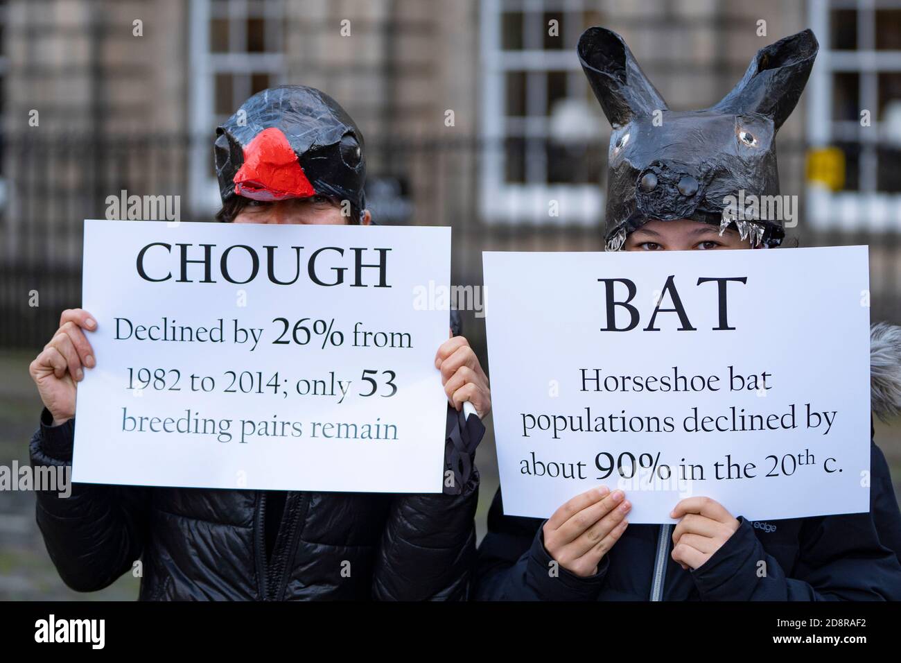Extinción la manifestación de Rebelión destaca la disminución de especies silvestres en Edimburgo, Escocia, Reino Unido Foto de stock