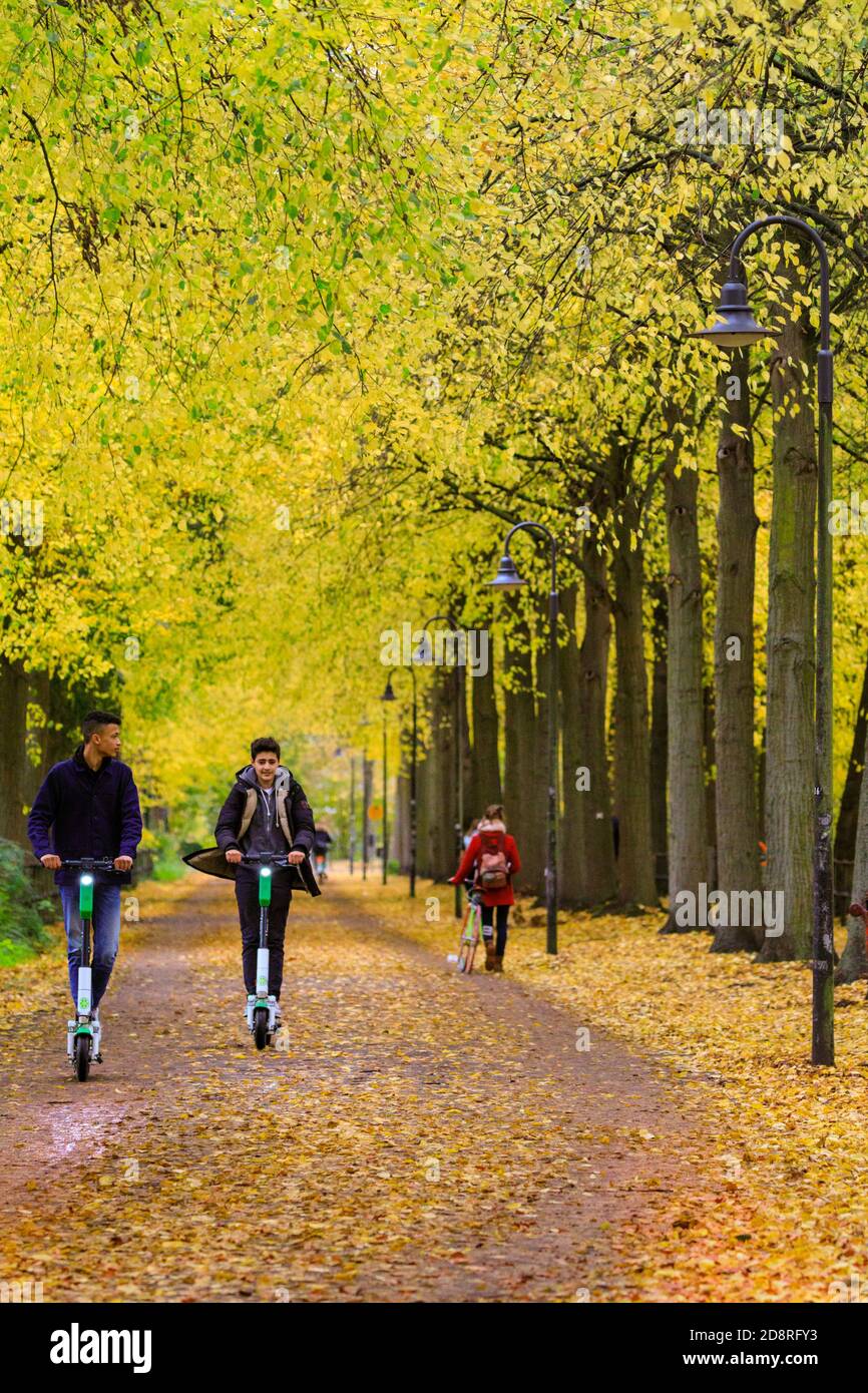 E-scooters y ciclistas en el bulevar 'Promenade' bordeado de coloridos árboles de cal otoñal, Muenster, Alemania Foto de stock