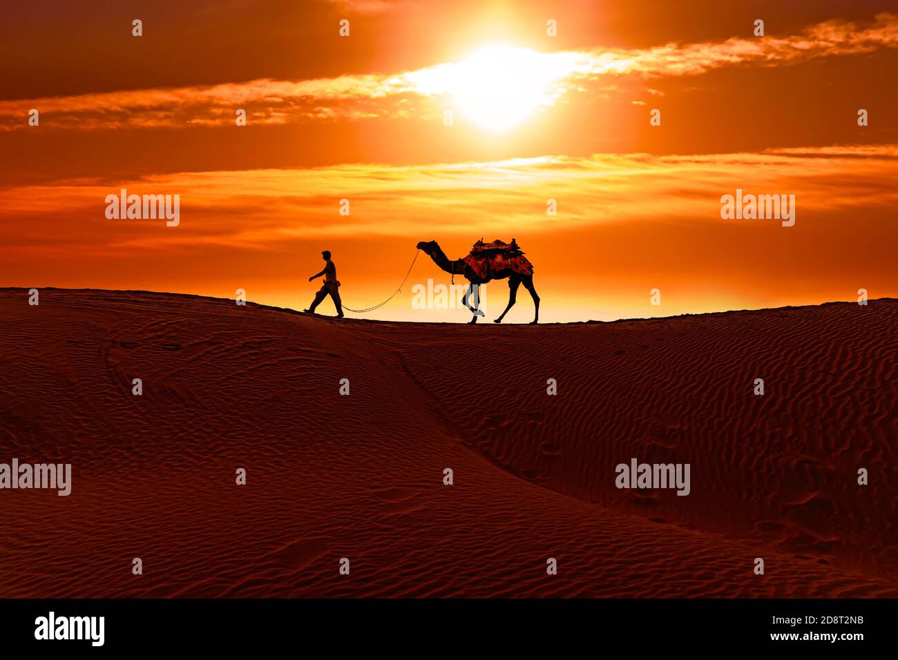 Camaleers, conductores de camellos al atardecer. Thar desierto en la puesta de sol Jaisalmer, Rajasthan, India. Foto de stock