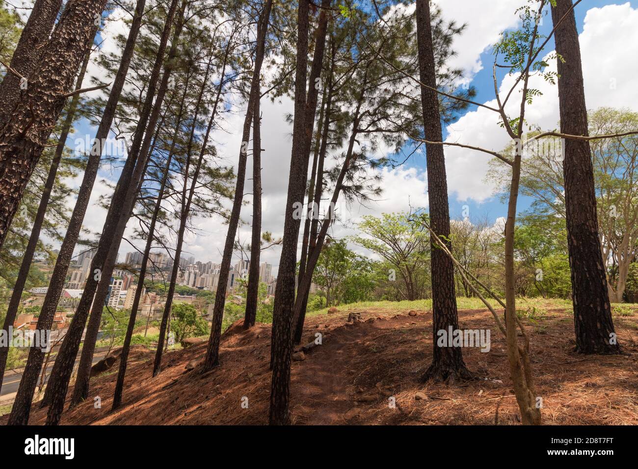 Pequeño parque famoso de Ribeirao Preto llamado Pico da Unaerp. Imagen del concepto de bicicleta y vida saludable. Foto de stock