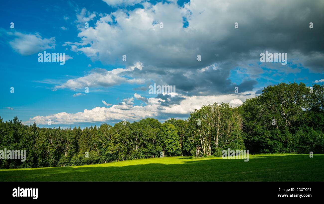 Alemania, Swabian Alb, Schwaebische Alb, pastos verdes al borde del bosque cerca de gruibingen con nubes de colores en verano Foto de stock