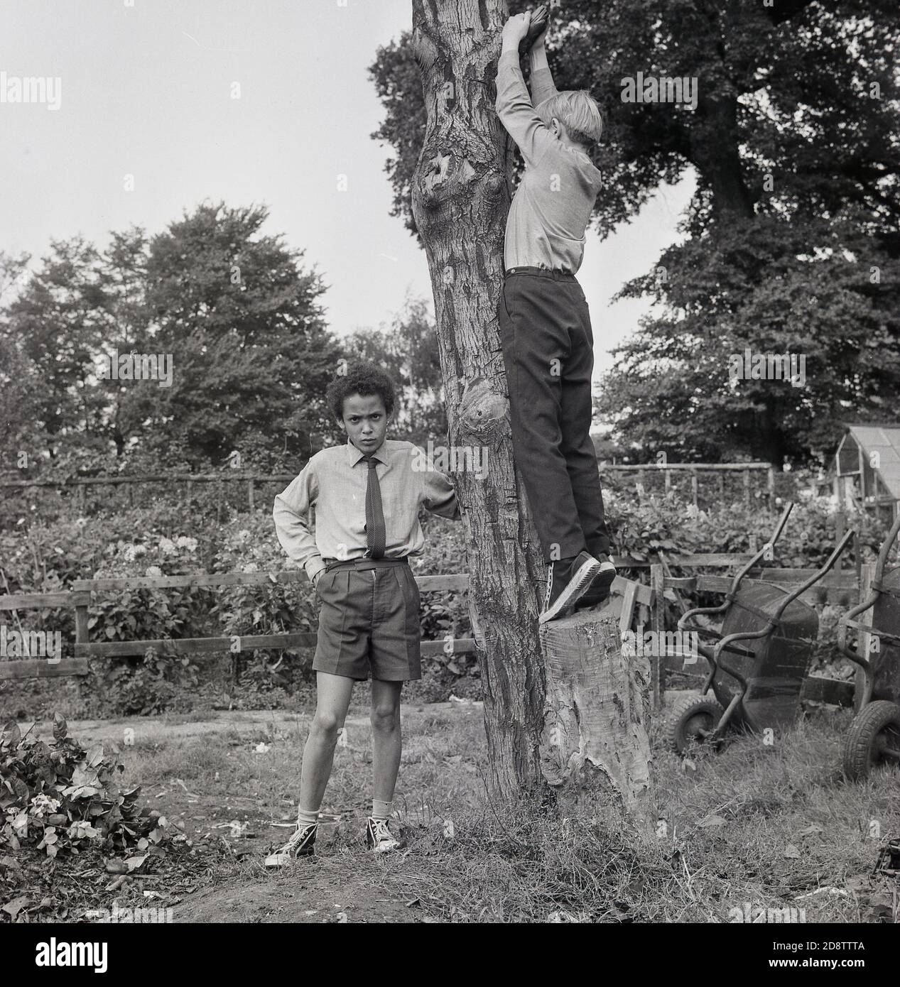 1960, histórico, dos escolares en un internado de niños del estado de Londres en un jardín exterior y área de actividad, con uno de los niños tratando de subir un árbol cortado. Foto de stock