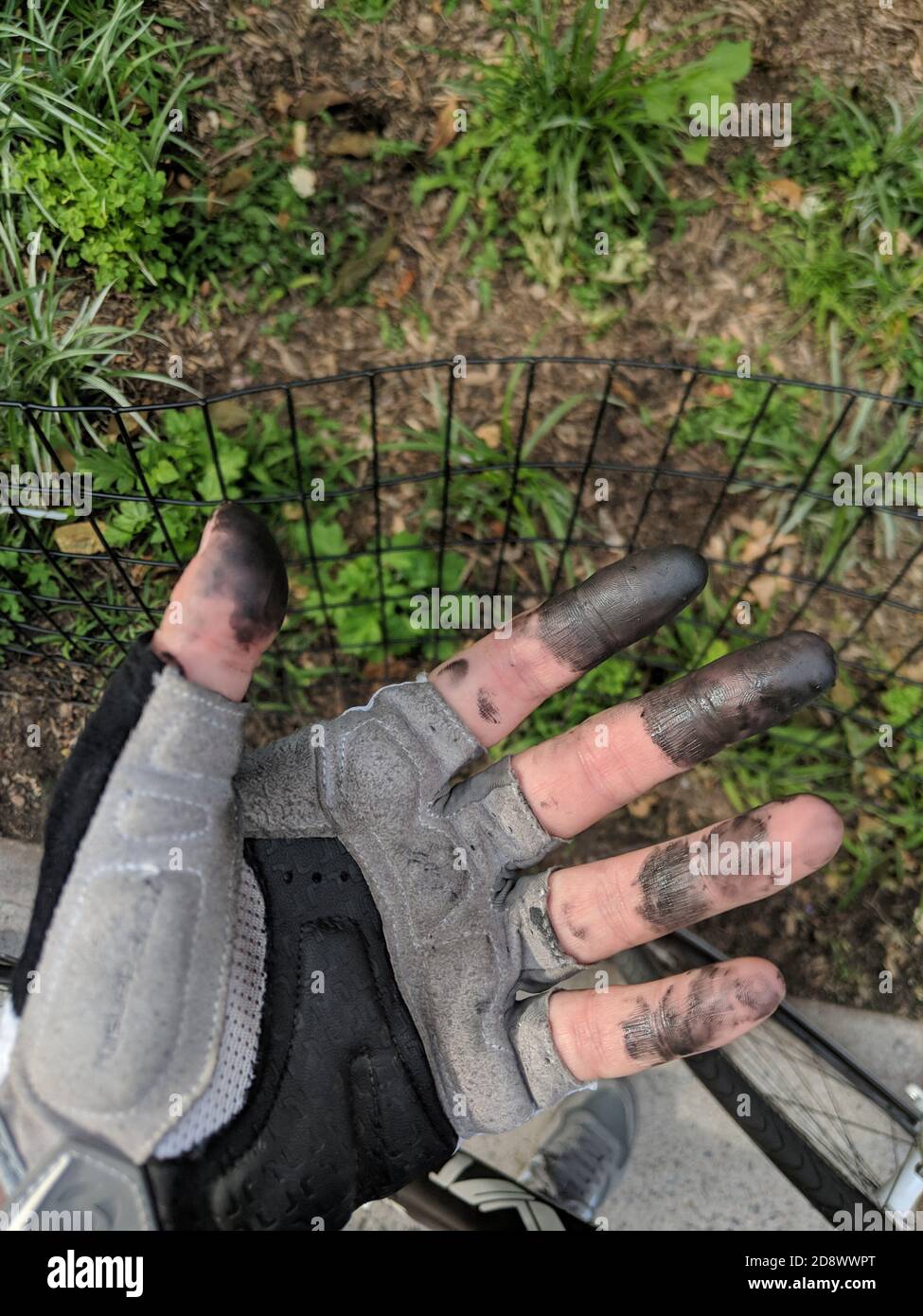 Hombre con guantes de jardinería y mono arrodillado en un jardín atendiendo  a las plantas