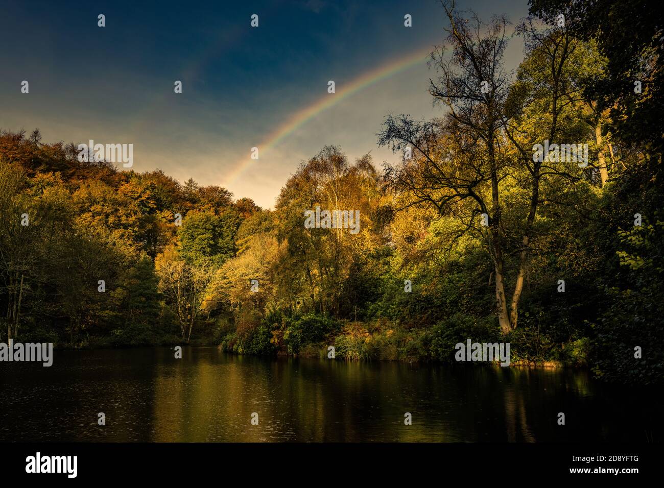 Arco iris sobre el estanque de madera, Nidderdale, Yorkshire del Norte Foto de stock