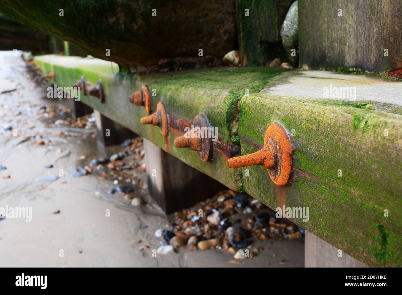 Detalle de la defensa del mar de grino cubierta de algas en la playa de Eastbourne en el sureste de Inglaterra Foto de stock