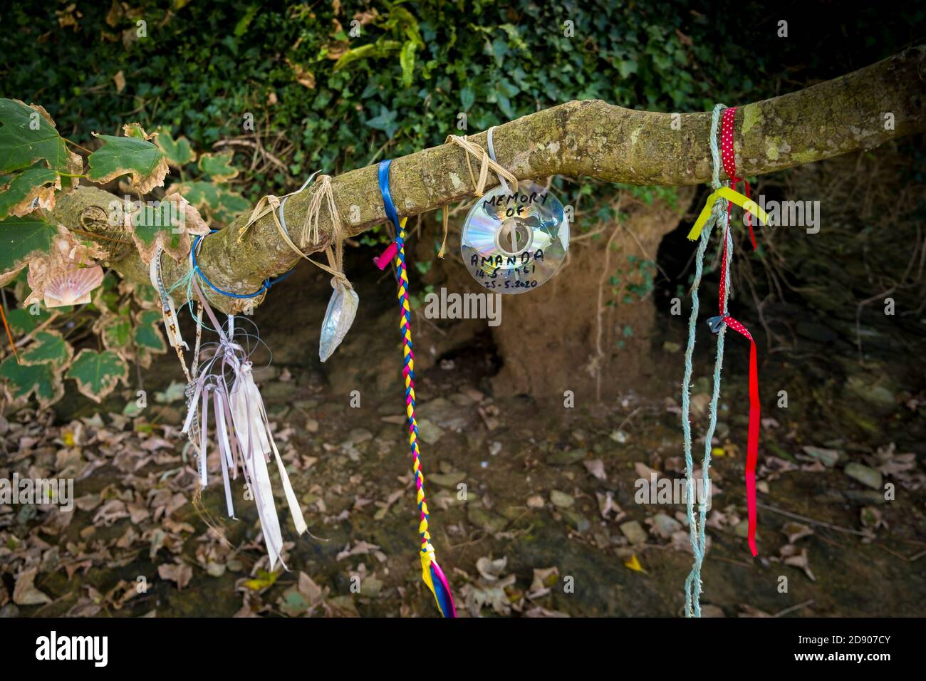 Varias decoraciones coloridas colgando de las ramas de un árbol en el Gannel en Newquay en Cornwall. Foto de stock