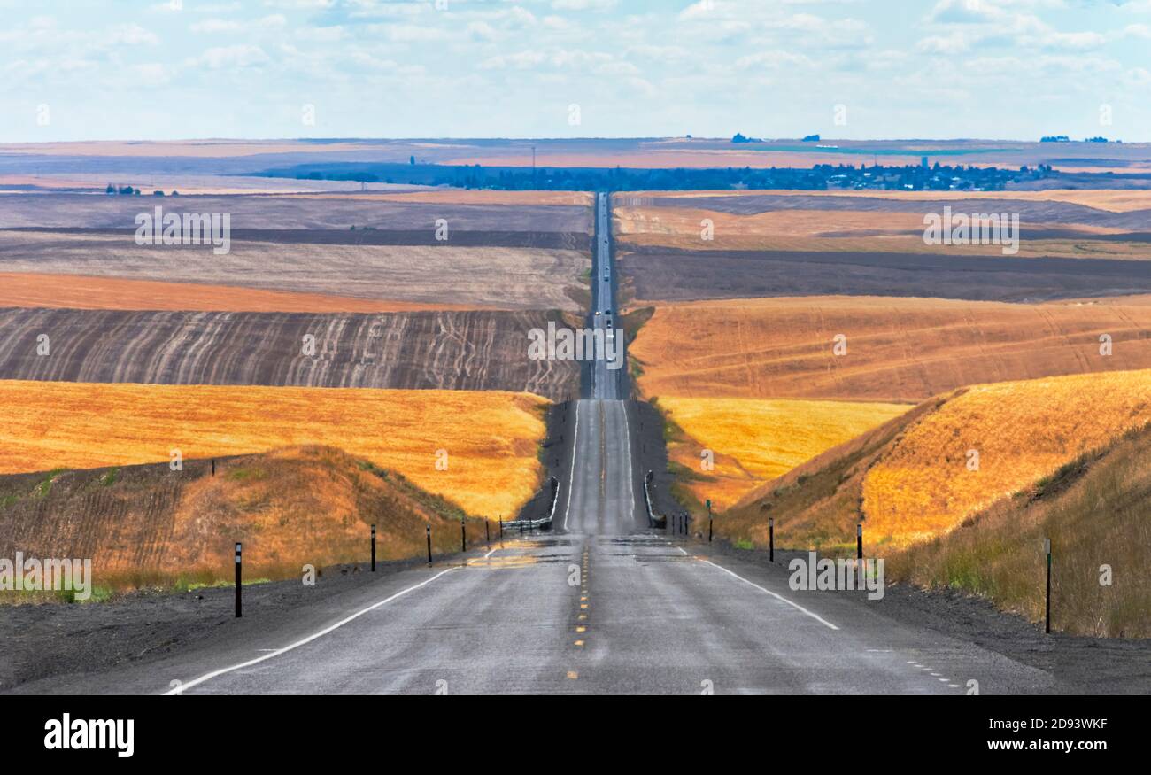 Camino ondulado que atraviesa el campo de trigo en el este del estado de Washington, EE.UU Foto de stock