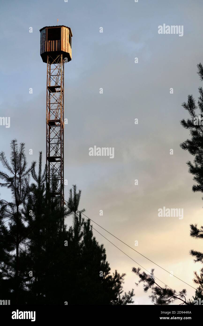 Un alto metal dorado de la torre de observación del sol sobre el bosque contra el fondo de un cielo nublado en los rayos de la puesta de sol en una noche de verano. Foto de stock