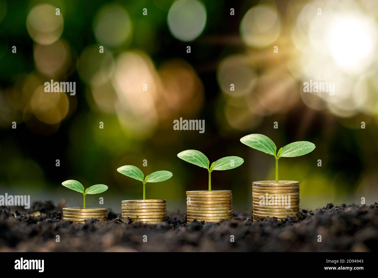 Plantas en crecimiento sobre monedas apiladas sobre fondos verdes borrosos y luz natural con ideas financieras. Foto de stock