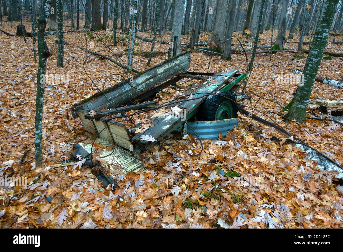 Se derrumbó el remolque sentado en el bosque. Cumberland Wisconsin WI EE.UU Foto de stock