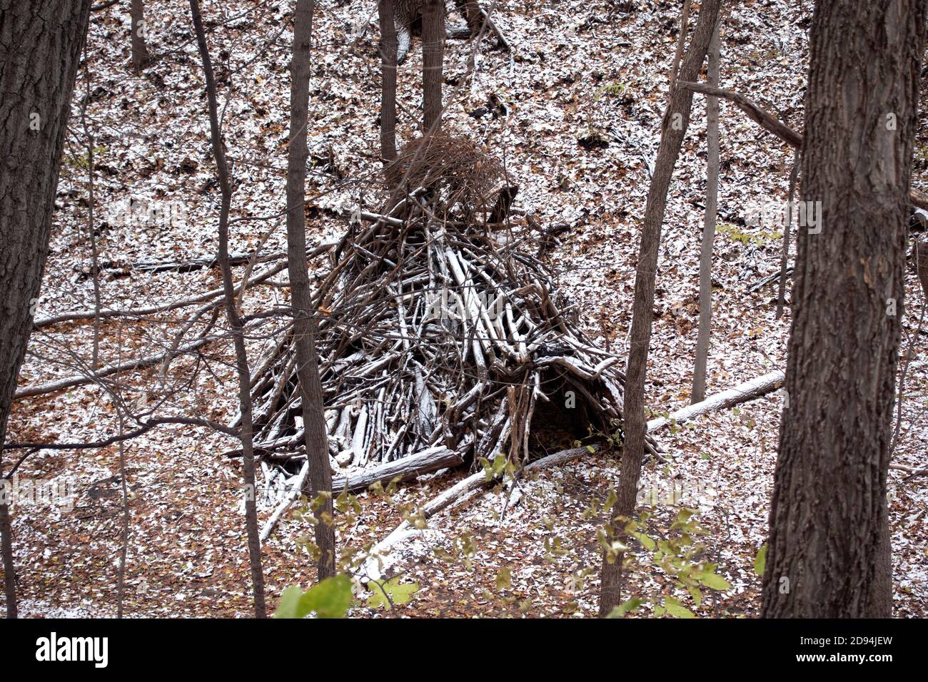 Caseta grande de teepee hecha de palos en el bosque en Shadow Falls al lado del río Mississippi. St Paul Minnesota MN EE.UU Foto de stock