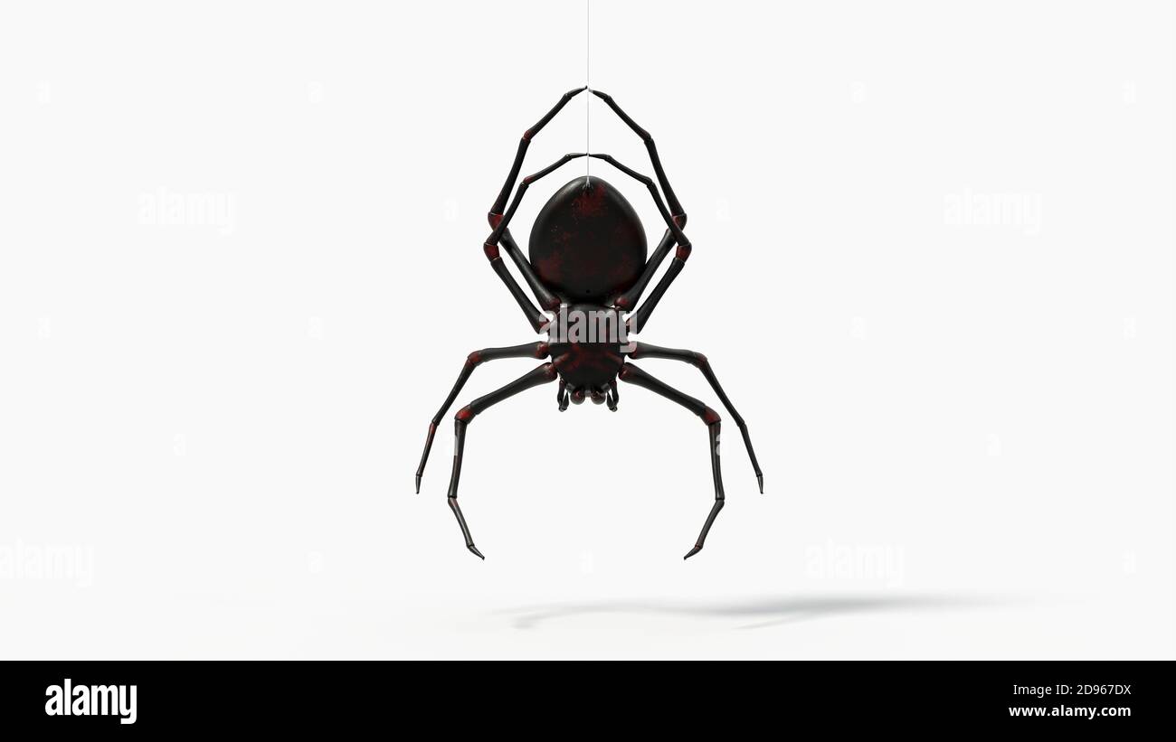 araña negra colgante con detalles piel roja. adecuada para temas de horror, halloween, aracnidos e insectos. ilustración 3d, vista posterior Fotografía de stock - Alamy