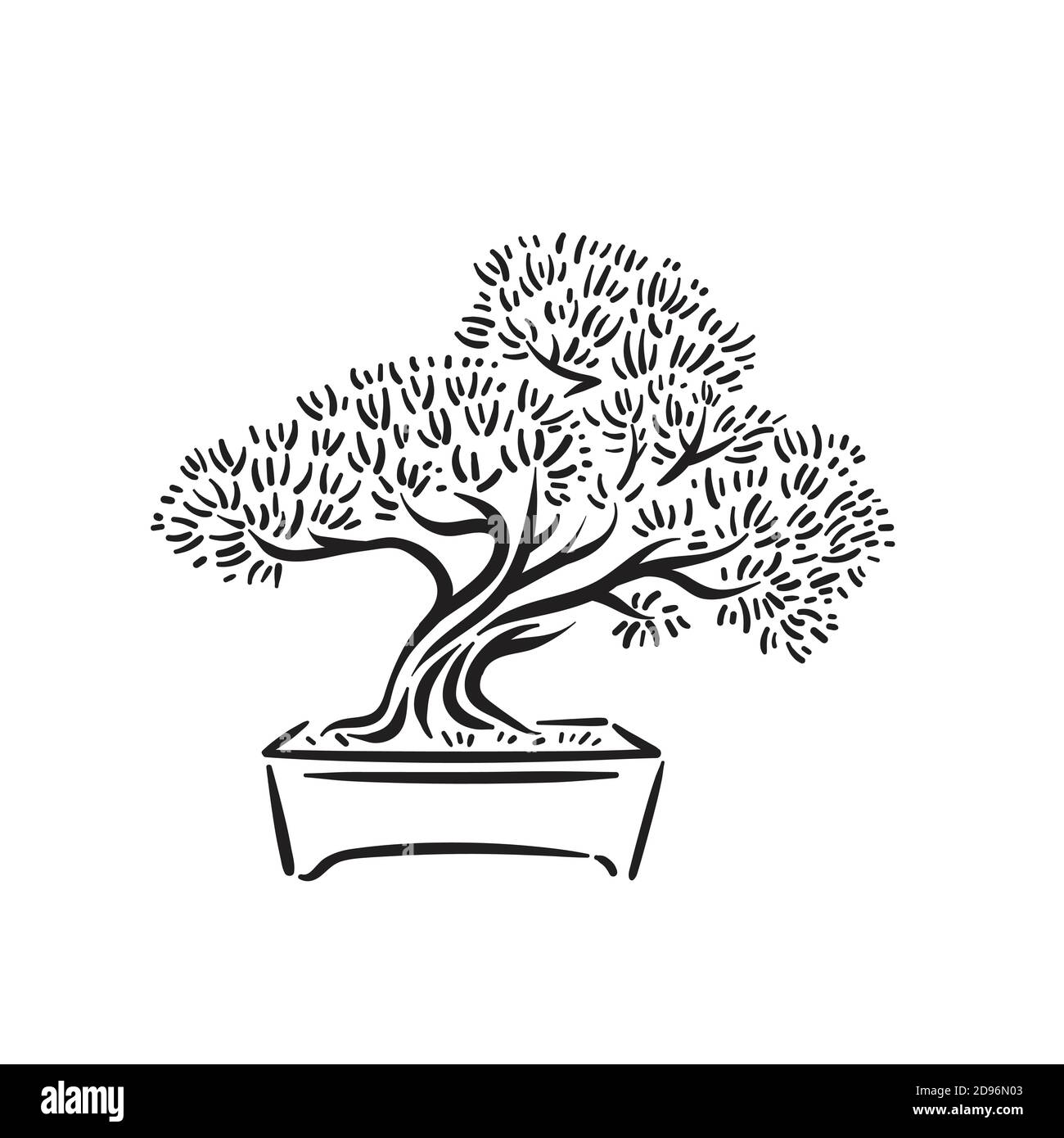 Árbol de bonsai antiguo japonés en el logotipo de la olla Imagen Vector de stock Alamy